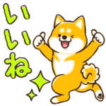 動く！毎日かわいい柴わんこ