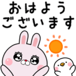 敬語で煽りたいうさぎのラピピ