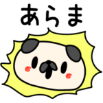 適当なおわんこさま