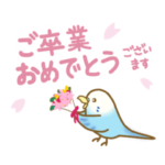 インコフレンズの卒業＆入学お祝いスタンプ