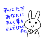 薬剤師のスパイシーなうさぎさん