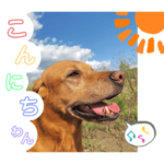 田中家のあむすぺしゃるぼりゅーみーぱっく