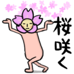 桜咲く、サクラチルの春の挨拶いっぱいの桜