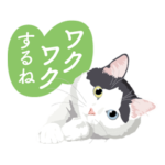 二色の瞳を持つ猫からの素敵ギフト♪