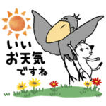 猫とハシビロコウ