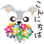 ふんわり癒されシュナウザー