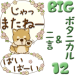 ちゃちゃ丸 12『ボタニカル風』