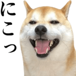 動く！柴犬の写真スタンプ