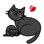 黒ネコちゃんの気持ちと挨拶！