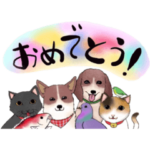 街で見かけるどうぶつたち！