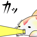 錦鯉の西田くん