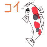 動く！小生意気な錦鯉 その１