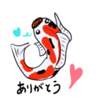 錦鯉（日本語バージョン）