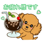 可愛いトイプードル 1 