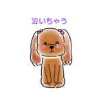 トイプードルのむぅちゃんスタンプ