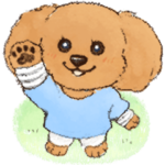 まるっこ犬 トイプードル