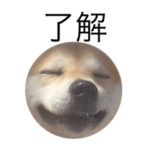 了解の時だけ使うわかなさん