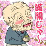 ポップアップ　おじいおばあ春スタンプ祭り