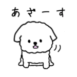 白いもふもふトイプードルスタンプ 第2弾