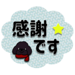 トイプードル もこもこのもこ18