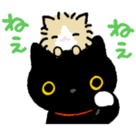 靴下にゃんこ なかまがいっぱい♪