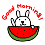 かっこいい犬。夏！