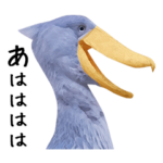 ハシビロコウの日常会話