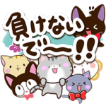 ネコいっぱい！