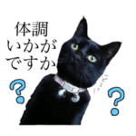 くろねこが体調を気遣います。