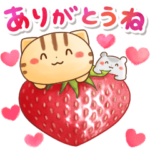 春だね♪ネコちゃん ハムちゃん