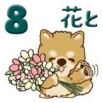 ちゃちゃ丸 8『花束と一緒に』