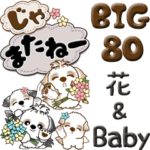 シーズー犬 80『Baby & 花』