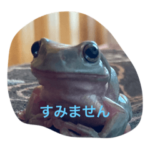 もりのカエルたち2