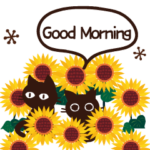 動く!大人かわいい日常ことば-夏-黒猫Ver