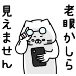 全力ねこ母でございます編