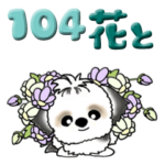シーズー犬 104『花束と一緒に』