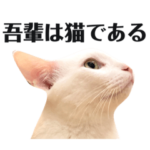 かわちいゆめじ２