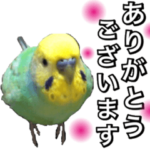 インコのポンちゃん（敬語）
