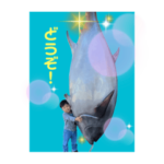 凛太郎5       2022年3月