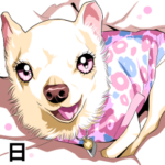 チワワ（たんぽぽ）②