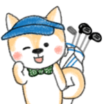 豆柴ゴルファー日常用 挨拶&ラウンドお誘い