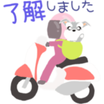 飛び出すふんわり 癒され シュナウザー