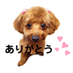 ティアちゃんママとチップ&デールくん♡