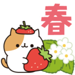 毎日ぶちにゃんこ 7