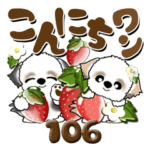 シーズー犬 106『いつもの言葉』