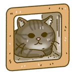 マンチカン まんたろー