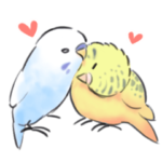 ゆるふわインコ