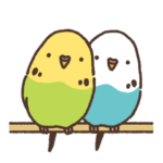 インコといっしょ