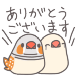 自由なインコと文鳥たち