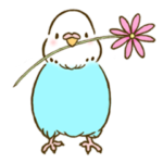 すこやかインコ２